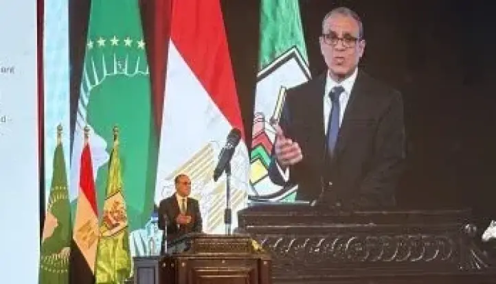 وزير الخارجية: العلاقات المصرية الأفريقية شكلت عبر التاريخ رابطة حضارية