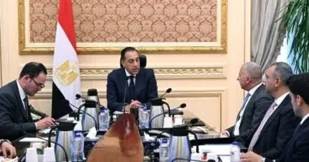 رئيس الوزراء يلتقى الرئيس التنفيذى والعضو المنتدب لشركة السويدى إلكتريك