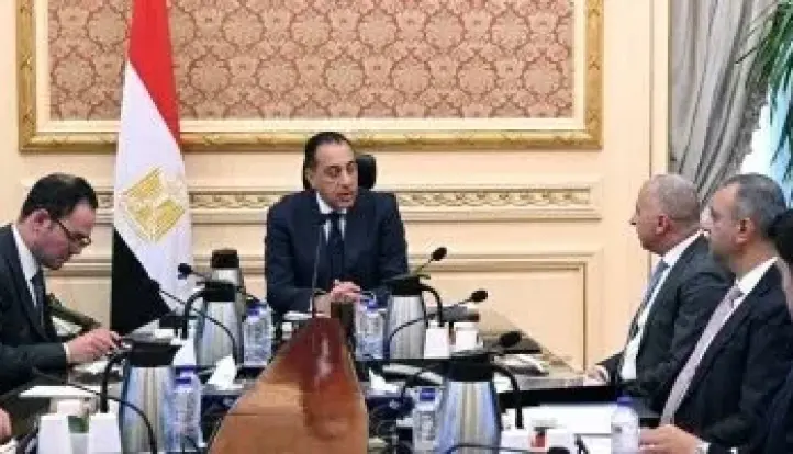 رئيس الوزراء يلتقى الرئيس التنفيذى والعضو المنتدب لشركة السويدى إلكتريك