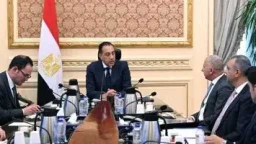 رئيس الوزراء يلتقى الرئيس التنفيذى والعضو المنتدب لشركة السويدى إلكتريك