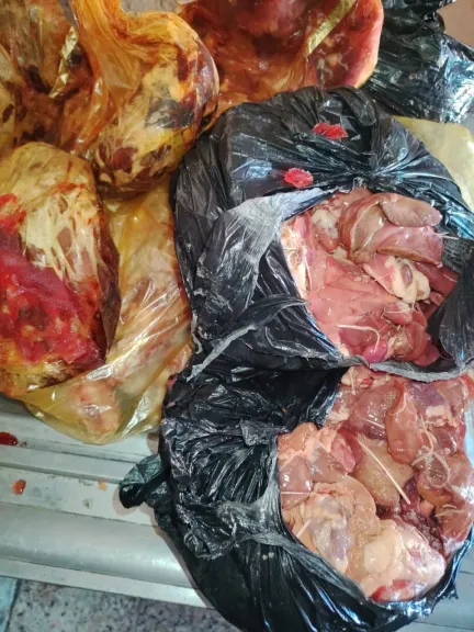 محافظ أسيوط: حملات مكثفة قبل عيد الأضحى تضبط 105 كجم لحوم ودواجن