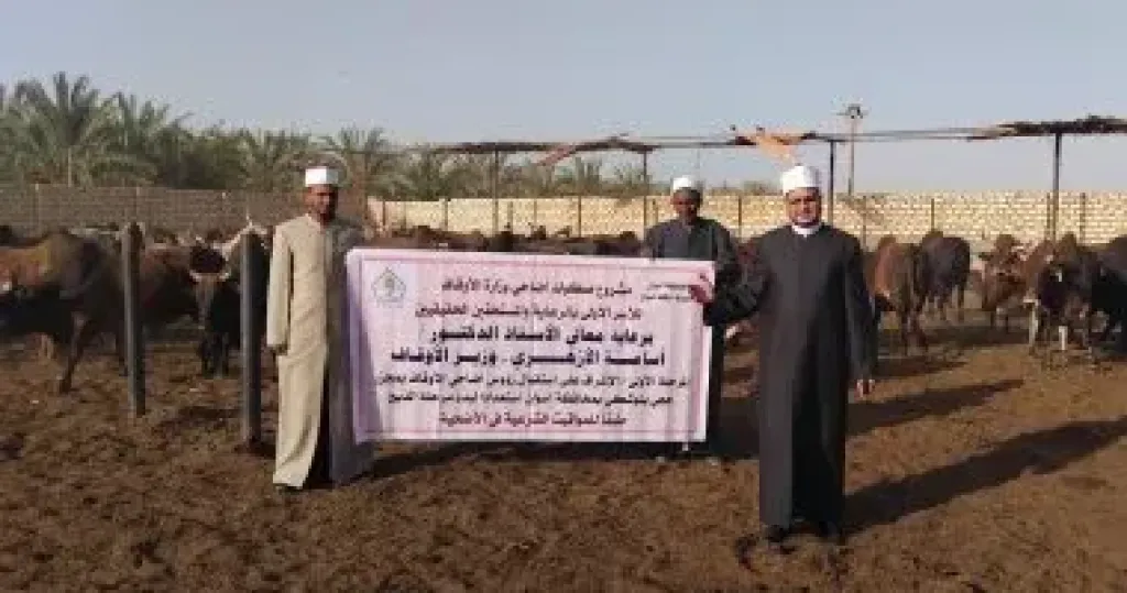الأوقاف تتابع تجهيز الأضاحى بمجازر أبو سمبل استعدادًا لعيد الأضحى