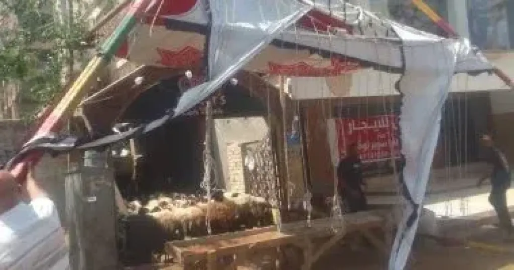 وزارة الزراعة: إزالة 90 حالة تعدٍ على الأراضي الزراعية في ثاني أيام العيد
