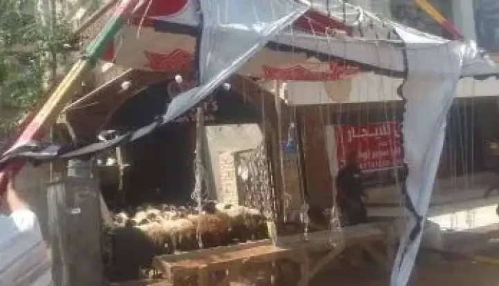وزارة الزراعة: إزالة 90 حالة تعدٍ على الأراضي الزراعية في ثاني أيام العيد