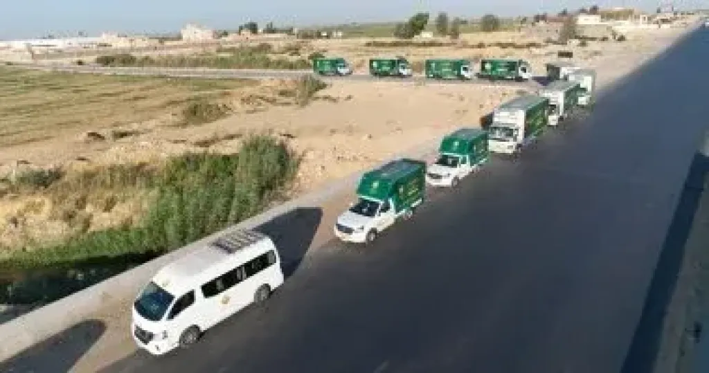 «بيت الزكاة والصدقات» ينتهي من ذبح الأضاحي ويبدأ توزيع لحوم الصكوك