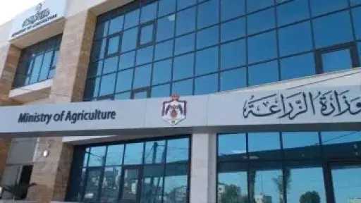 لمواجهة ذروة الصيف المبكر.. توصيات ”الزراعة” لمنتجي الثروة الحيوانية والداجنة