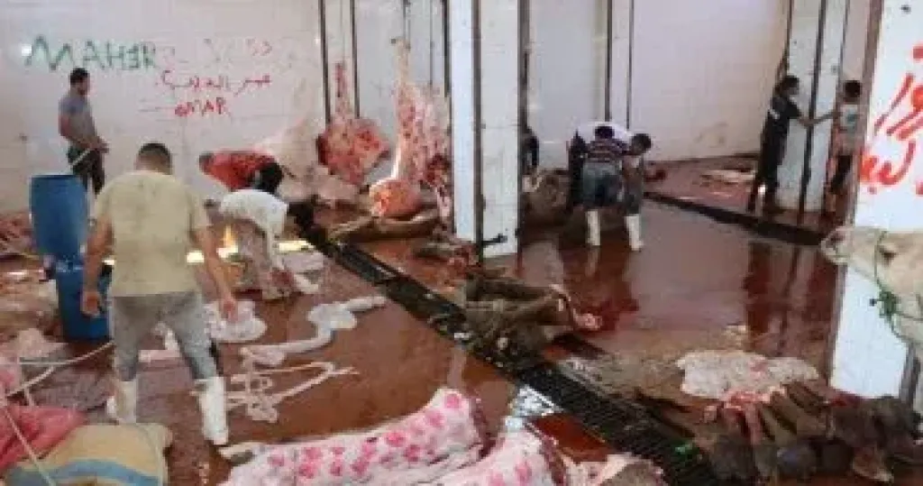 الزراعة تعلن ذبح 35514 أضحية بالمجازر الحكومية مجانا للمواطنين فى عيد الأضحى