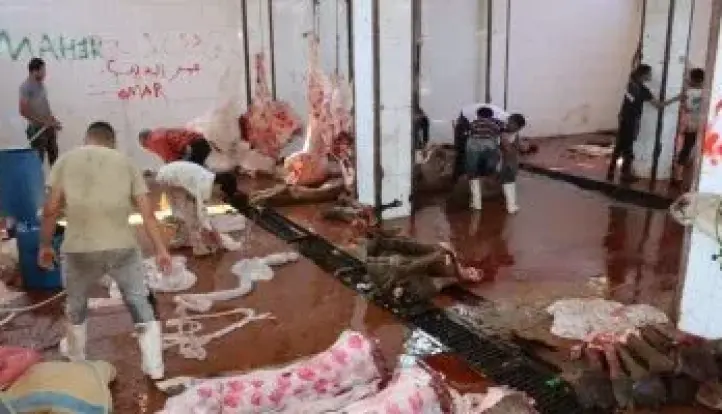الزراعة تعلن ذبح 35514 أضحية بالمجازر الحكومية مجانا للمواطنين فى عيد الأضحى
