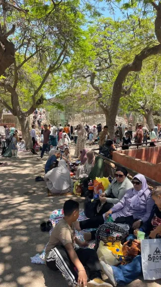 ”الزراعة” تعلن استقبال حدائق الحيوان الإقليمية وحديقة الأسماك أكثر من 101 ألف زائر خلال أيام عيد الأضحى المبارك
