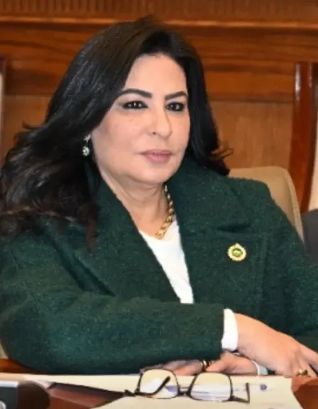 هالة كيرة: مشروع عملاق لإنتاج الإطارات بالتعاون مع الصين يعزز الصناعة المصرية