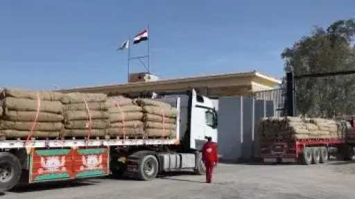 قافلة زاد العزة الـ 204 تدخل إلى قطاع غزة محملة بالمساعدات الإنسانية