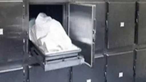 غرق طفلين شقيقين في نهر النيل بالمنشاة بسوهاج