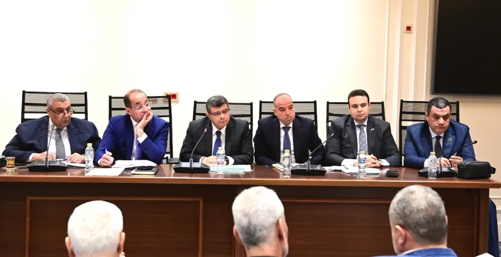 المالية والنواب: لا ضرائب جديدة على غاز المنازل أو المصانع