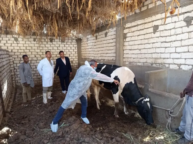 6.82 مليون جرعة تحصينية لحماية الثروة الحيوانية من الحمى القلاعية والوادي المتصدع