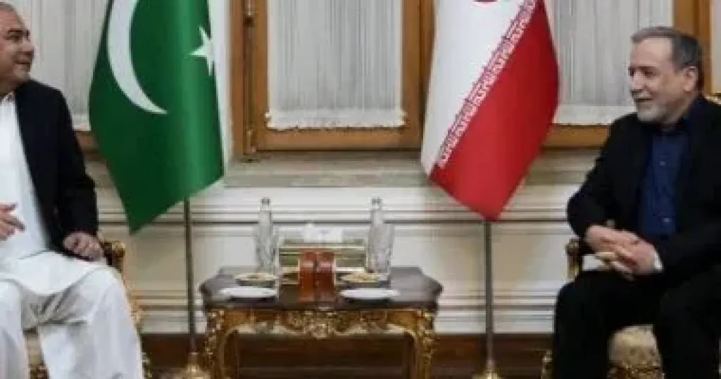 وزير الداخلية الباكستاني يزور طهران