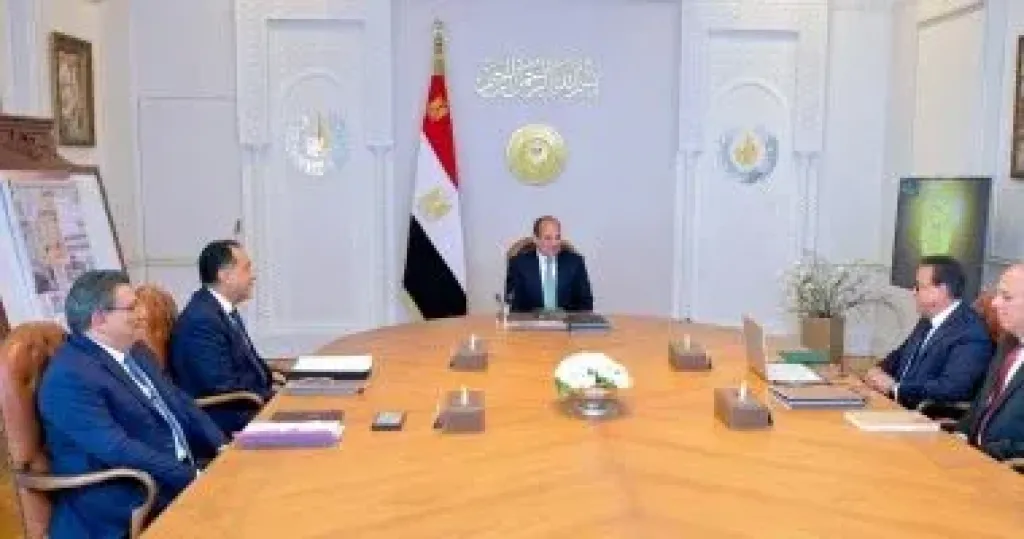 الرئيس السيسى يوجه بدعم تطبيقات الذكاء الاصطناعى فى المنشآت الصحية
