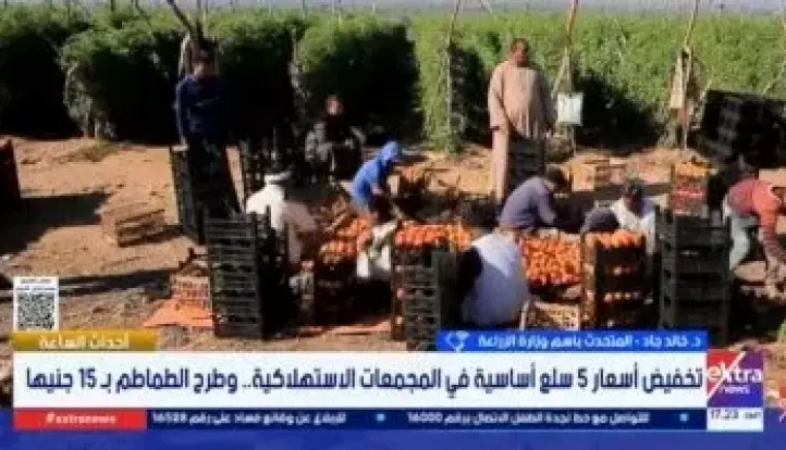 متحدث الزراعة: انخفاض كبير في أسعار الطماطم والبيض
