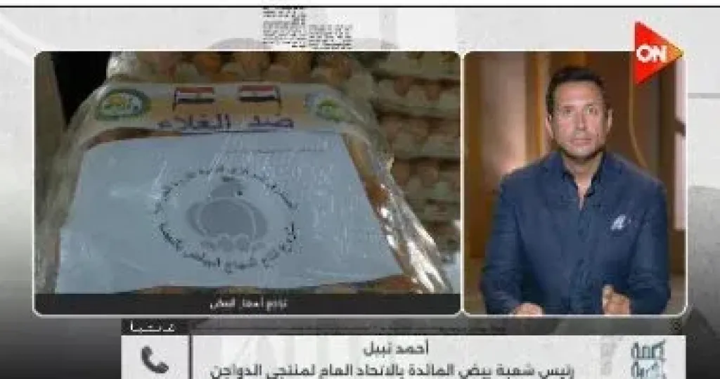رئيس شعبة البيض يكشف عن خسائر فادحة وخطط لفتح أسواق تصديرية