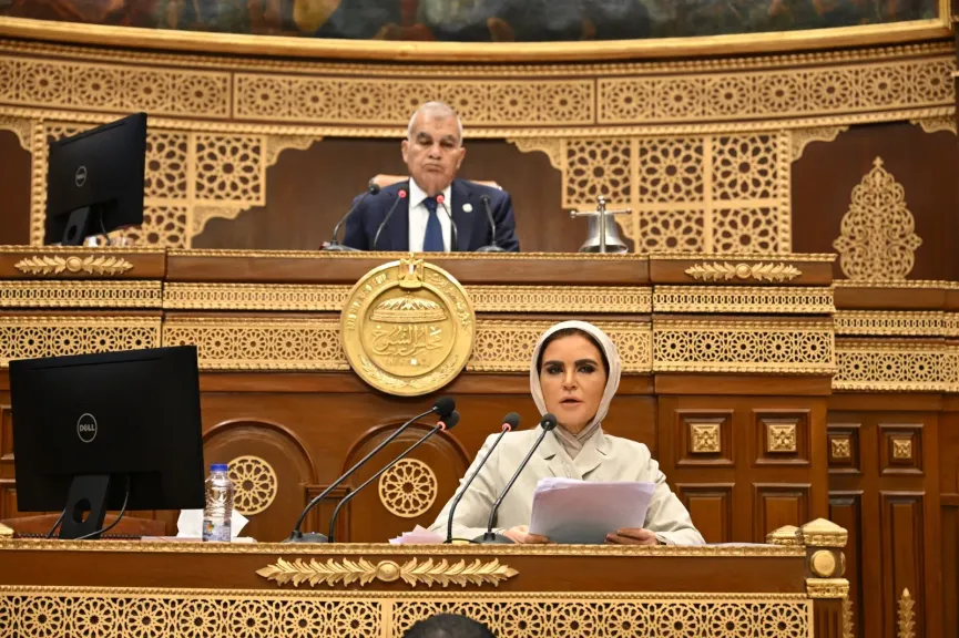 سحر نصر تستعرض أمام ”الشيوخ” تقرير لجنة خطة التنمية المستدامة 2026/2027 وتوصيات حوكمة الإنفاق العام