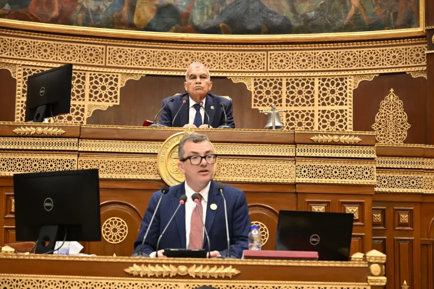 وزير التخطيط مجلسى  النواب والشيوخ  حصن الأمة المصرية