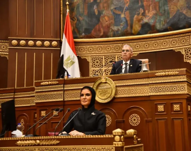 نواب الشيوخ: تحفيز القطاع الخاص ودمج الاقتصاد غير الرسمي ضرورة لدعم خطة التنمية