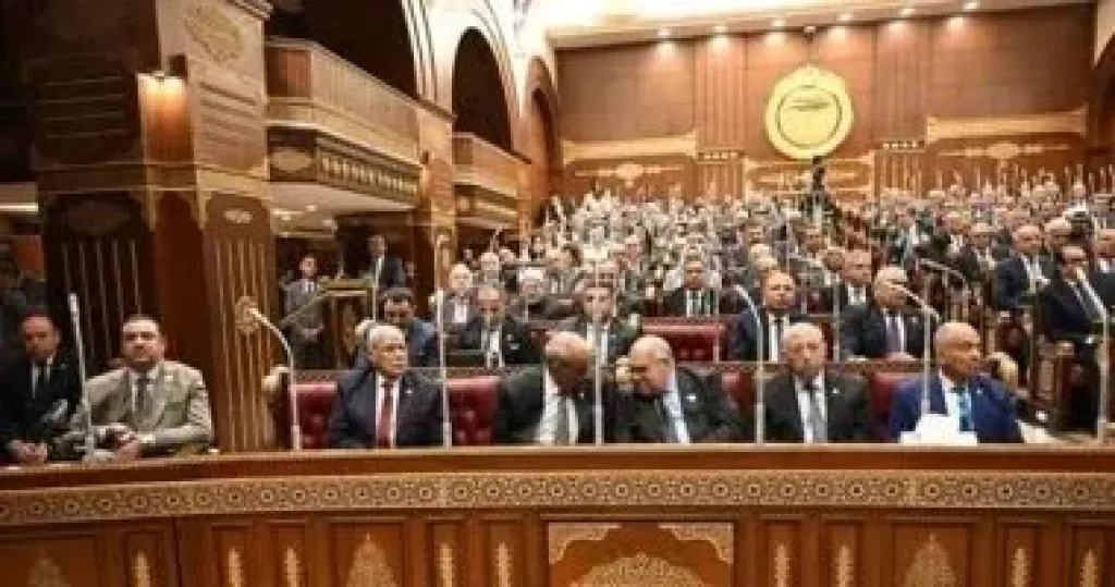 مجلس الشيوخ يوافق من حيث المبدأ على خطة التنمية الاقتصادية للعام المالي 2026-2027
