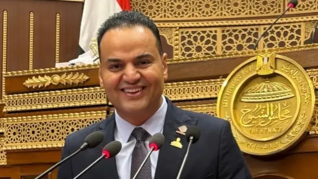 عضو بـ”مجلس الشيوخ” يطالب بربط الاستثمارات بمؤشرات لتحسين الدخل والخدمات
