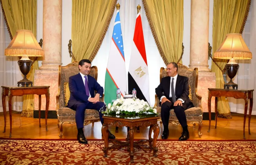 وزير الخارجية يعقد جلسة مباحثات موسعة مع وزير خارجية جمهورية أوزبكستان