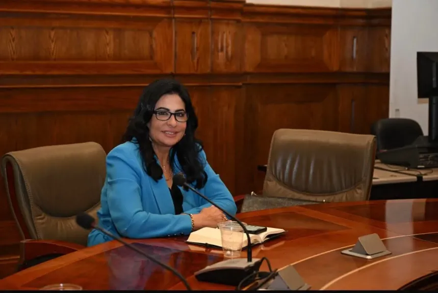 النائبة هالة كيرة تهنئ الرئيس والشعب المصرى والامه الإسلامية بالعام الهجرى الجديد