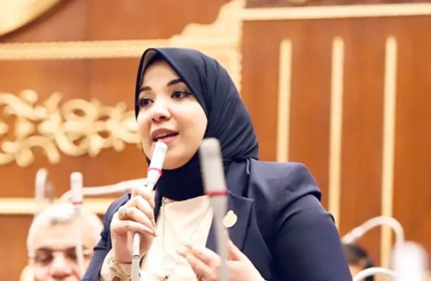 النائبة دينا هلالي: نجاح الموازنة مرهون بانعكاسها على حياة المواطنين لا بأرقامها