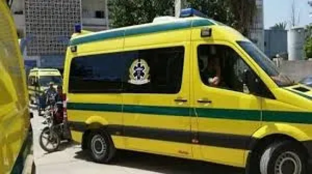 إصابة شخصين بصعق كهربائي فى الدقهلية.. ومصرع طفل داخل ورشة ميكانيكا
