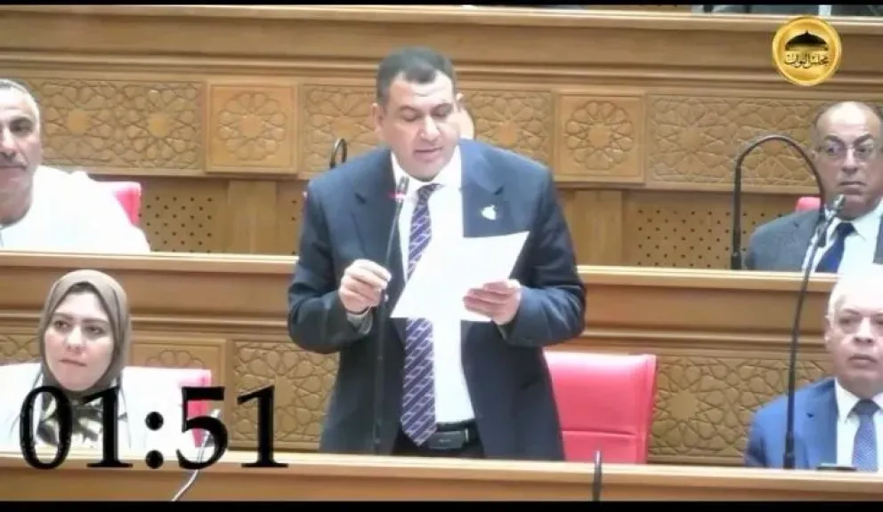 خلال مناقشة الموازنة.. النائب وائل الجندي يطالب بتحويل ”أجا المركزي” لمستشفى عام ويؤكد: رغيف العيش خط أحمر