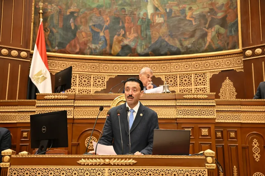 مجلس الشيوخ يناقش طلب النائب محمد رزق لاستيضاح سياسة الحكومة في مواجهة تحديات المشروعات الصغيرة والمتوسطة