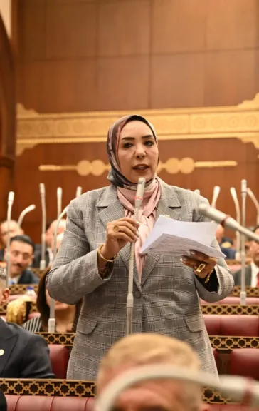 وفاء رشاد: تعميق الصناعة المصرية ضرورة استراتيجية لتعزيز الإنتاج وتقليل الواردات