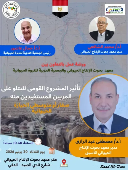تعاون عربي لدعم صغار المربين.. ورشة عمل تناقش تأثير المشروع القومي للبتلو على تنمية الثروة الحيوانية