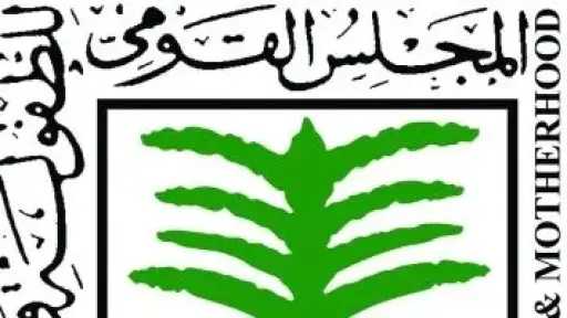 «القومى للأمومة» يناقش خطته المستقبلية ويستعد لإطلاق مبادرات لحماية الأطفال