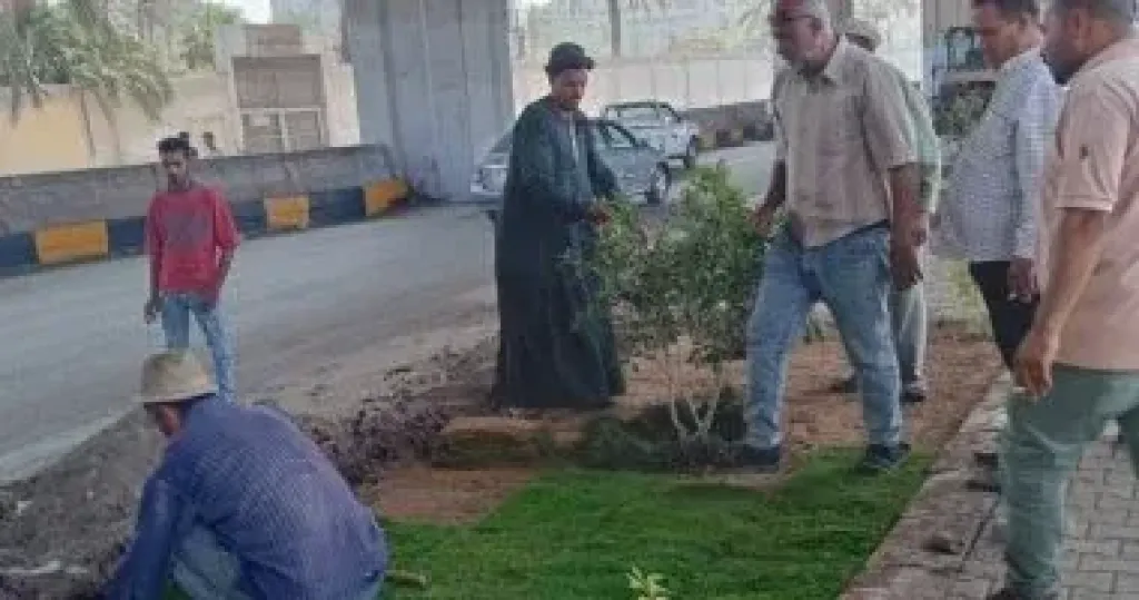 زراعة أحواض الزهور بشارع مشرفة ببولاق الدكرور ضمن تحسين المظهر الحضارى