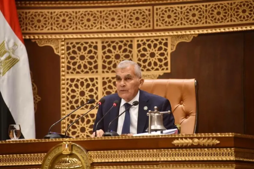 رئيس مجلس الشيوخ يهنئ وزير الخارجية بمناسبة مرور 200 عام على تأسيس الدبلوماسية المصرية