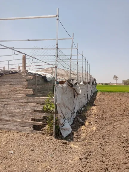 إزالة ٩٩ حالة تعدي بالبناء المخالف بمحافظة الشرقية
