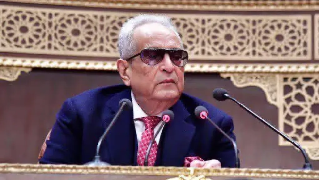 بهاء أبو شقة: ثورة 30 يونيو فرّقت بين الحق والباطل وأنقذت مصر من المجهول