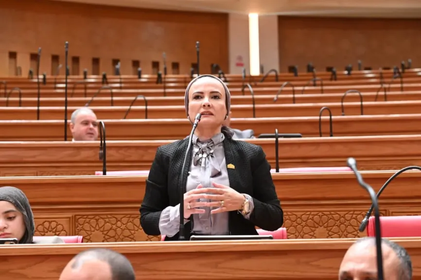 النائبة نشوة عقل:  30 يونيو أعادت ترسيخ الدولة الوطنية وصححت المسار للجمهورية الجديدة