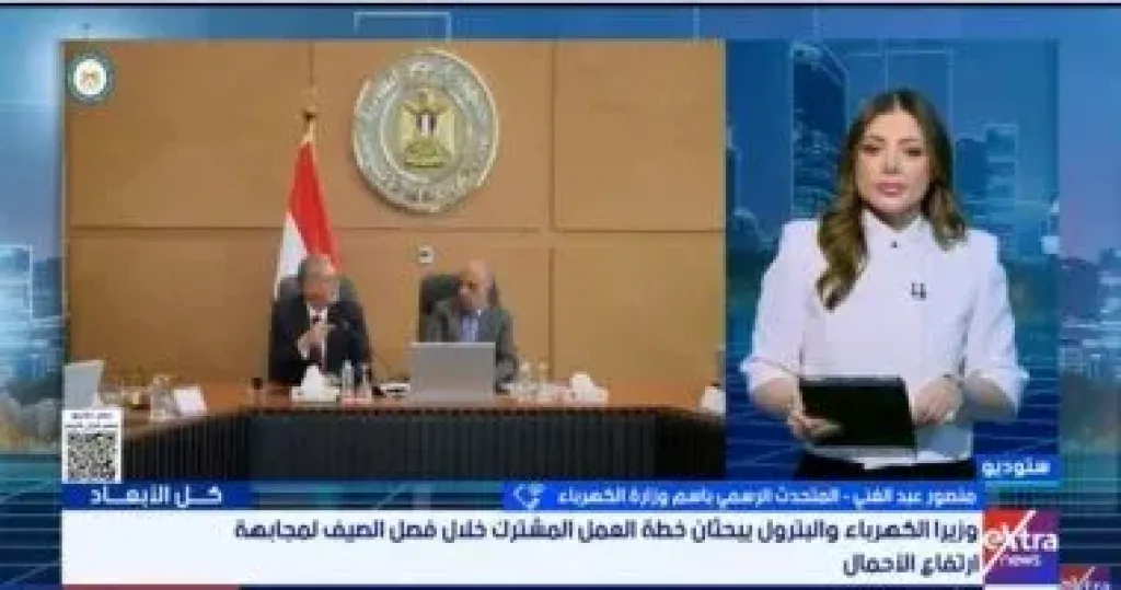 الكهرباء: خطة لتأمين الشبكة واستقرار التغذية صيف 2026