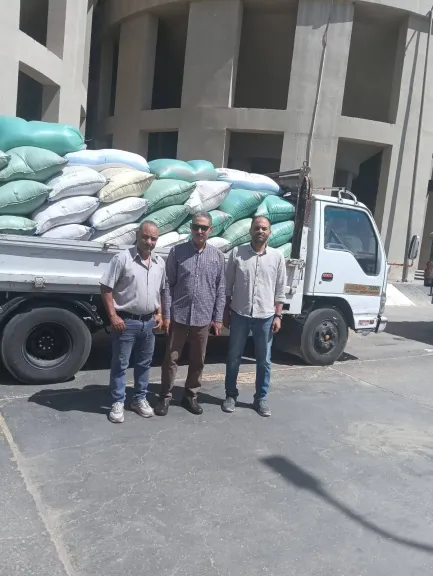 محافظ أسيوط: استلام 242 ألف و500 طن من القمح المحلي منذ انطلاق موسم التوريد