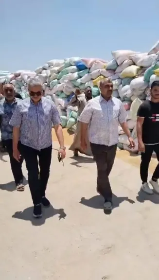 توريد ٦٧٢٤٣٠  و ٢٧٠  قمح  محلي بمحافظة الشرقية