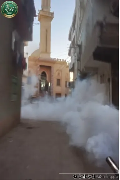تكثيف حملات رش الناموس والحشرات الطائرة بمراكز الشرقية