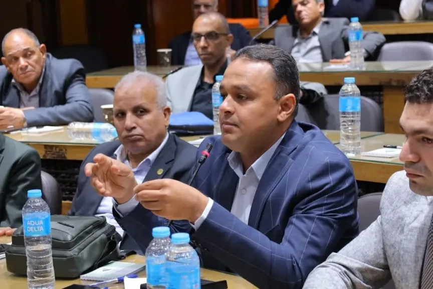 انتخاب المهندس مينا نظمي عضوا بالهيئة التأديبية لنقابة المهندسين المصرية