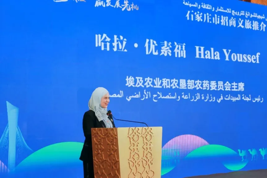 لجنة المبيدات تبحث في الصين تعزيز الاستثمار الزراعي ونقل التكنولوجيا