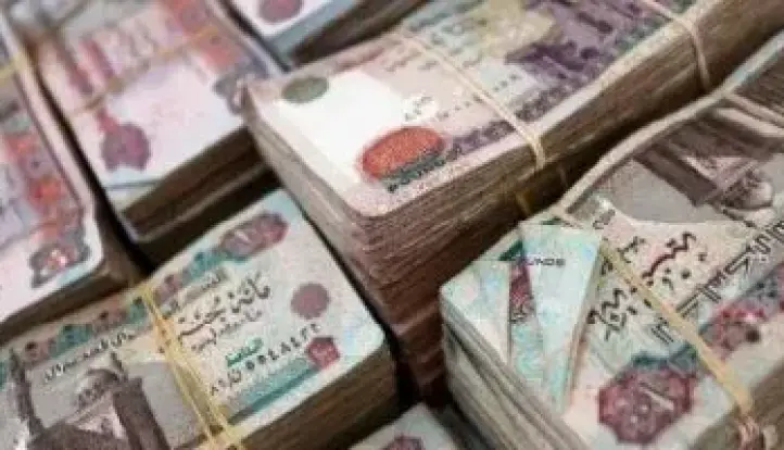 وزارة الداخلية تضبط قضايا غسل أموال بقيمة 780 مليون جنيه