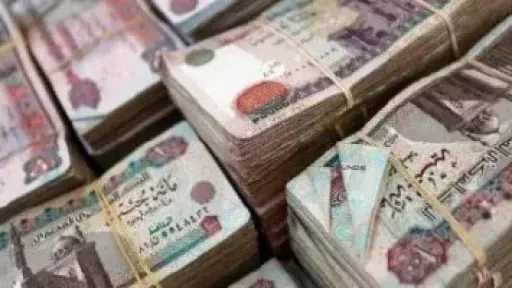 وزارة الداخلية تضبط قضايا غسل أموال بقيمة 780 مليون جنيه
