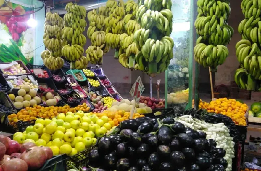 أسعار الخضراوات والفاكهة في الأسواق والمنافذ التجارية اليوم السبت 11 يوليو 2026